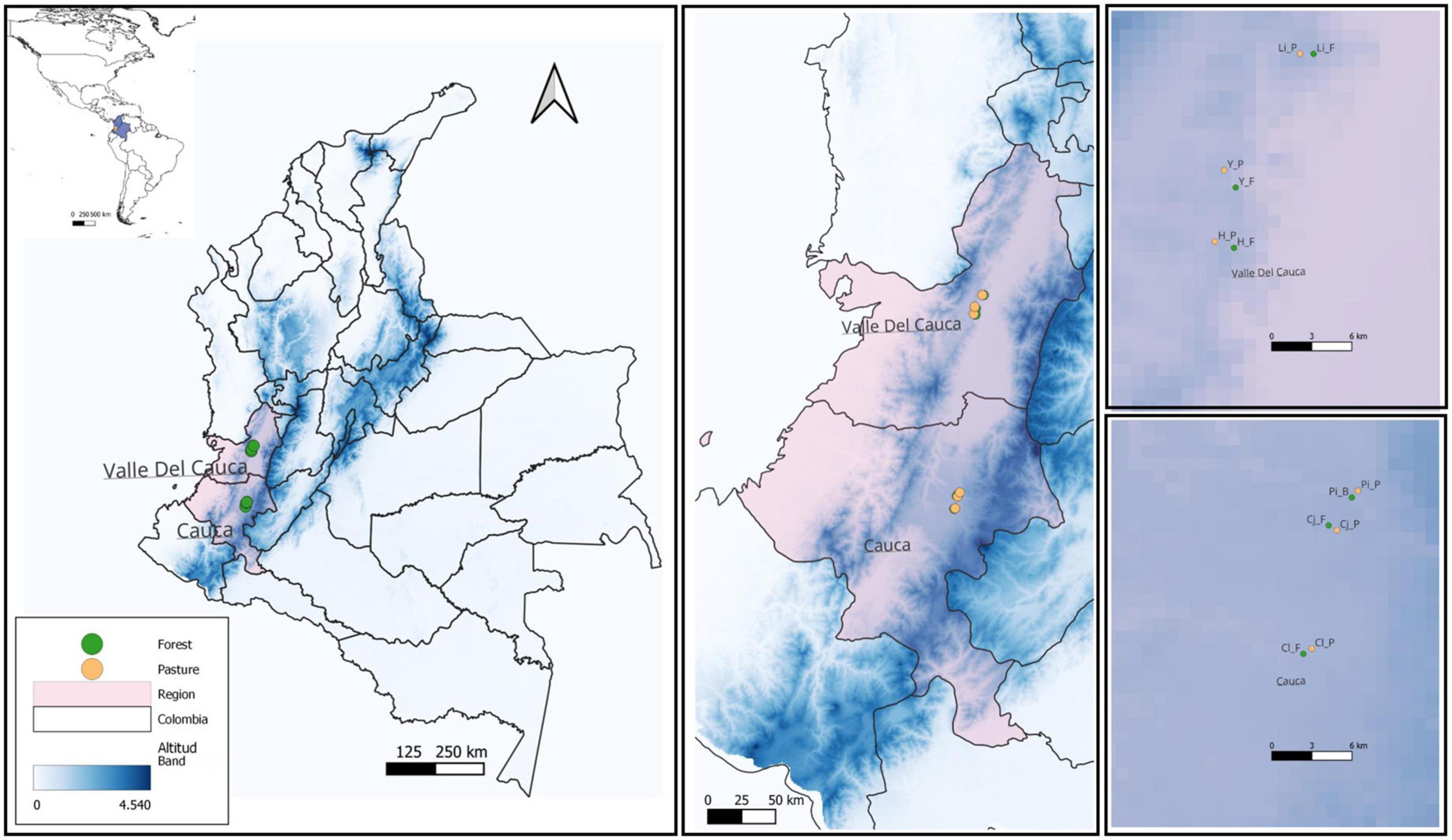 The effect of habitat transformation on a twig epiphytic orchid: Evidence from population dynamics